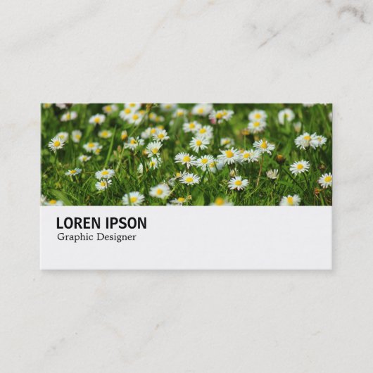 Hi-Phi - 0388 - Daisy Meadow Visitenkarte (Vorderseite)