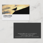 Hi-Phi - 0389 - Hering Gull Sunset Visitenkarte (Vorne/Hinten)