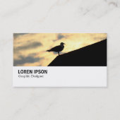 Hi-Phi - 0389 - Hering Gull Sunset Visitenkarte (Vorderseite)