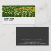 Hi-Phi - 038 - Bett von Tulips Visitenkarte (Vorne/Hinten)