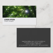 Hi-Phi - 063 - Sonne in den Bäumen Visitenkarte (Vorne/Hinten)