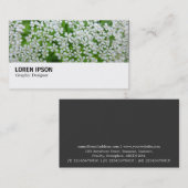 Hi-Phi - 078 - Kuh Parsley Visitenkarte (Vorne/Hinten)