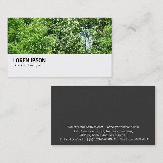 Hi-Phi - 080 - Sommerwind Visitenkarte (Vorne/Hinten)