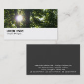Hi-Phi - 095 - Sun Through Trees Visitenkarte (Vorne/Hinten)