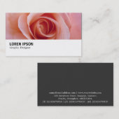 Hi-Phi - 097 - Rosa Rose Visitenkarte (Vorne/Hinten)
