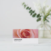 Hi-Phi - 097 - Rosa Rose Visitenkarte (Stehend Vorderseite)