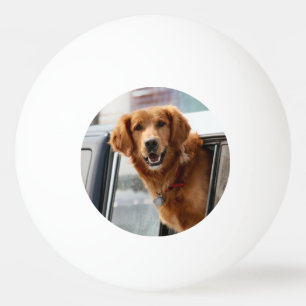 Hi Pong Pong Tischtennisball