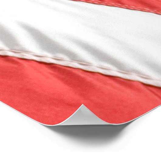 Hi Res COMPACT FOTO BACKDROP - US Flag on Slate Poster (Ecke)