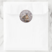 Hi Runder Aufkleber (Tasche)