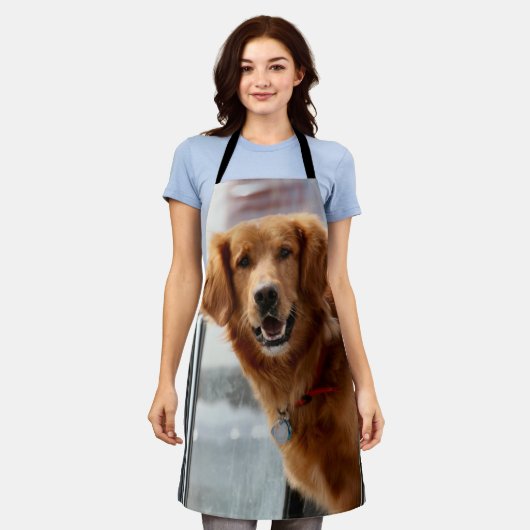 Hi Schürze (Getragen)