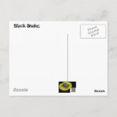 Hi - Schwarze Schlange im Keller Postkarte (Rückseite)