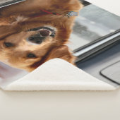 Hi Sherpadecke (3/4)