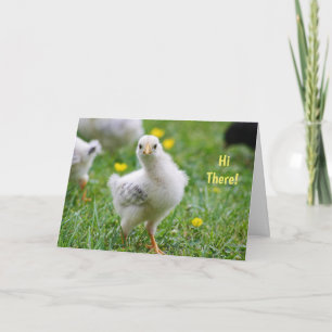 Hi There Baby Chick Happy Oaster Feiertagskarte