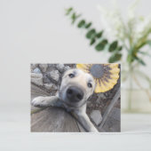 Hi There Doggy Postcard Postkarte (Stehend Vorderseite)