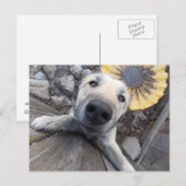 Hi There Doggy Postcard Postkarte (Vorne/Hinten)
