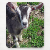 Hi There Goat Mousepad (Vorne)