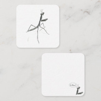 Hi there! Praying Mantis Mitteilungskarte