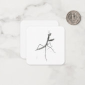 Hi there! Praying Mantis Mitteilungskarte (Vorderseite/Rückseite Beispiel)