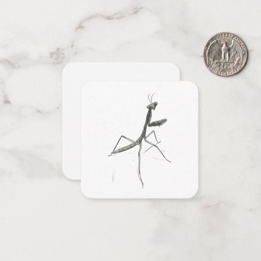 Hi there! Praying Mantis Mitteilungskarte (Vorderseite/Rückseite Beispiel)