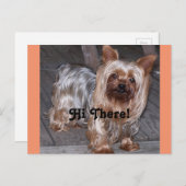 Hi There Yorkshire Terrier Postkarte (Vorne/Hinten)