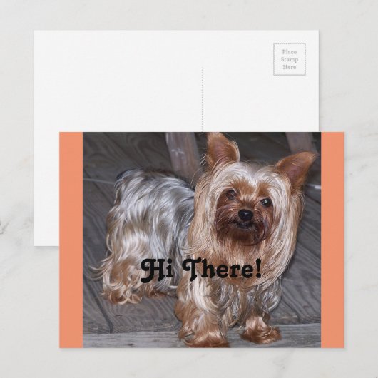 Hi There Yorkshire Terrier Postkarte (Vorne/Hinten)
