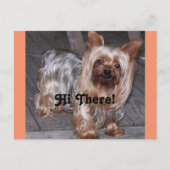 Hi There Yorkshire Terrier Postkarte (Vorderseite)