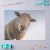 Hi-Tissue-Papier Seidenpapier (Basteln)