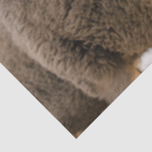 Hi-Tissue-Papier Seidenpapier (Detail)