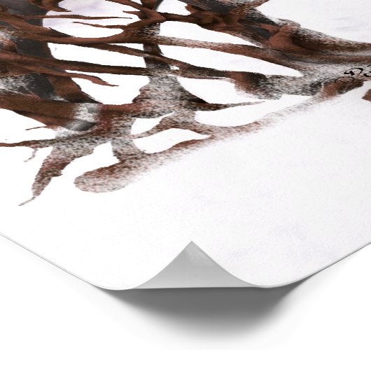 Hibernating Poster (Ecke)