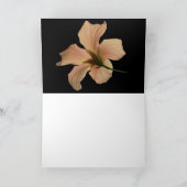 Hibiscus #4 karte (Innenseite)