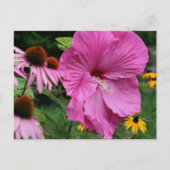 Hibiscus And Friends Flower Garden Photography Postkarte (Vorderseite)