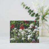 Hibiscus And Phlox Flower Garden Personalized Postkarte (Stehend Vorderseite)