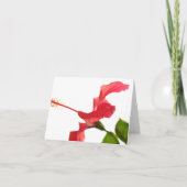 Hibiscus Card Karte (Vorderseite)