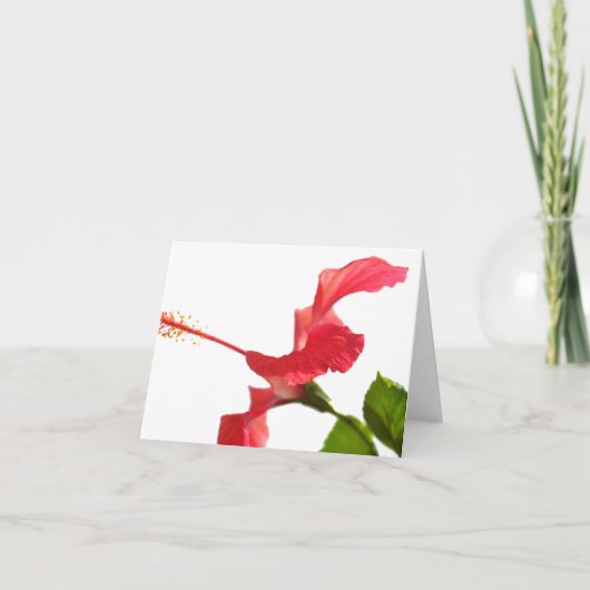 Hibiscus Card Karte (Vorderseite)