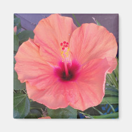 HIBISCUS HOME MAGNET
