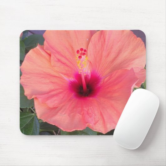 HIBISCUS HOME MOUSEPAD (Mit Mouse)