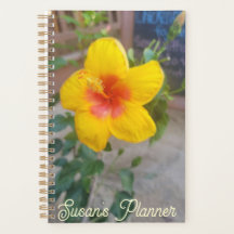Hibiscus-Planer - Originalfotografie