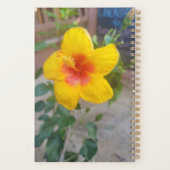 Hibiscus-Planer - Originalfotografie Planer (Rückseite)