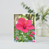 Hibiscus Postkarte (Stehend Vorderseite)