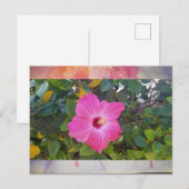 Hibiscus Postkarte (Vorne/Hinten)