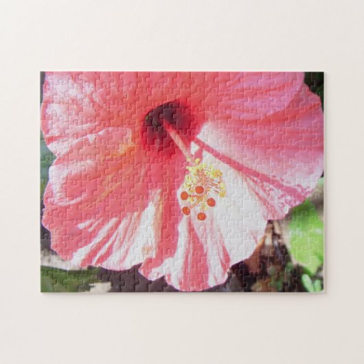 *Hibiscus* Puzzle (Horizontal)