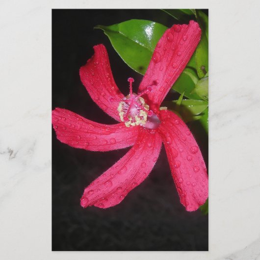 Hibiscus Rouge Briefpapier (Vorderseite)