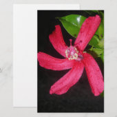 Hibiscus Rouge Briefpapier (Vorne/Hinten)