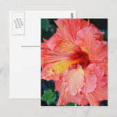 Hibisken 17 postkarte (Vorne/Hinten)