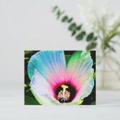 Hibisken 23 postkarte (Stehend Vorderseite)