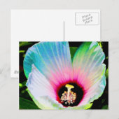 Hibisken 23 postkarte (Vorne/Hinten)