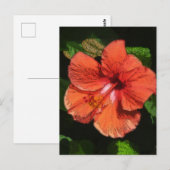 Hibisken 424 postkarte (Vorne/Hinten)