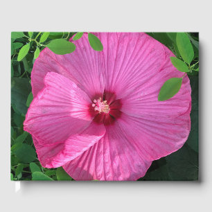 Hibisken Bloom: Mind Edition Gästebuch