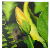 Hibisken Blume Bud Fliese (Vorderseite)