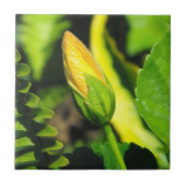 Hibisken Blume Bud Fliese (Vorderseite)